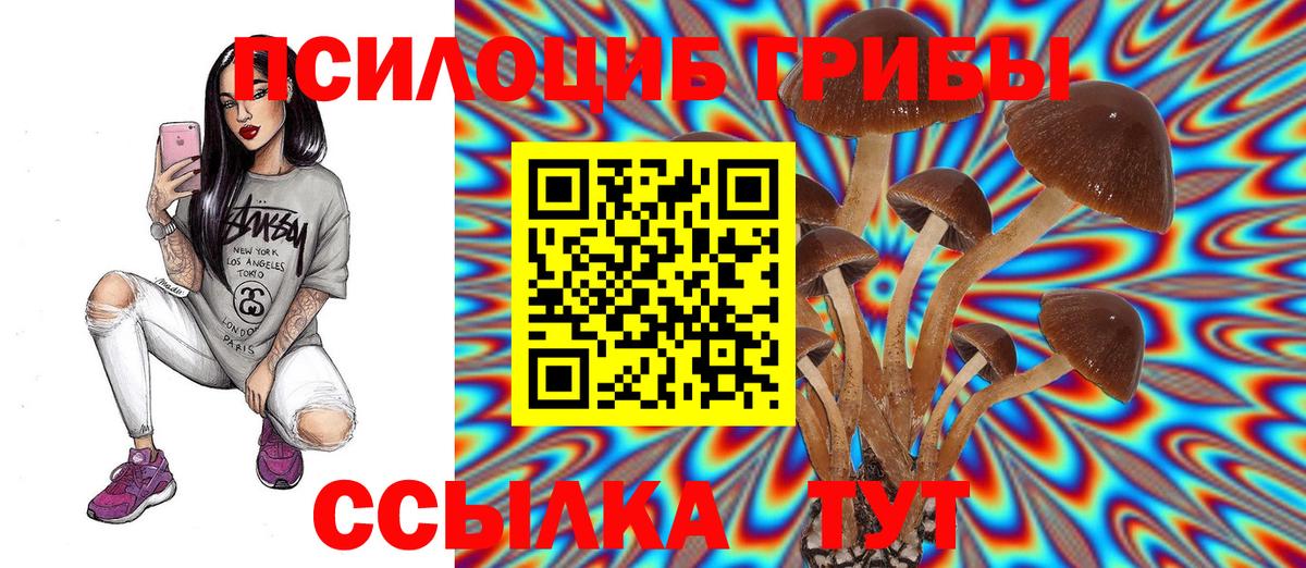 Псилоцибиновые грибы MAGIC MUSHROOMS Петропавловск-Камчатский
