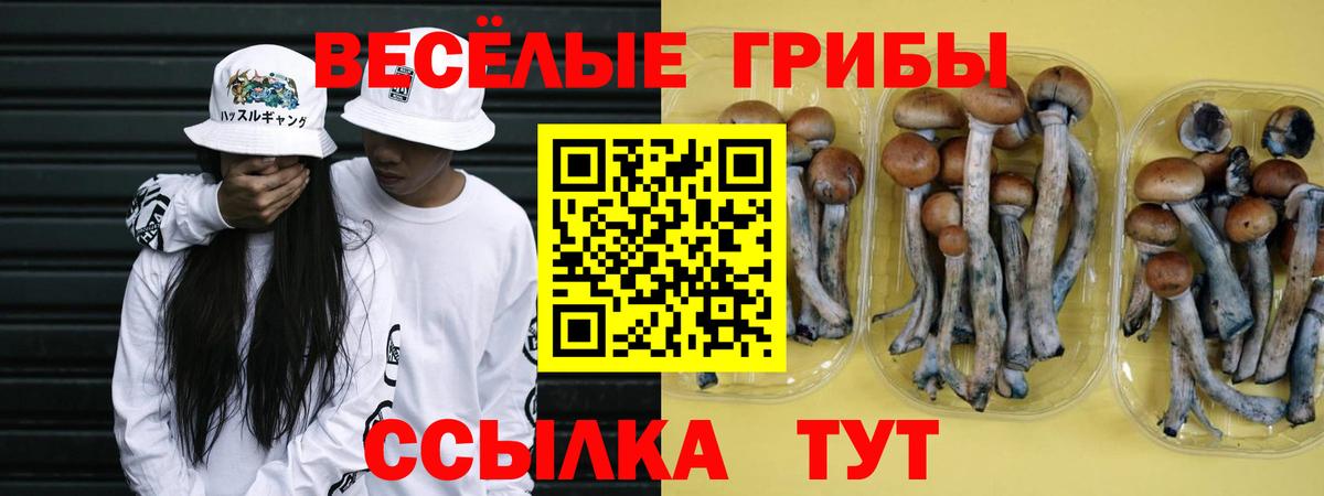 Псилоцибиновые грибы прущие грибы  Галлюциногенные грибы мицелий  Петропавловск-Камчатский  Вход с VPN 